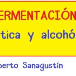 Diferencia entre el ácido láctico y la fermentación alcohólica