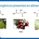 Diferencia entre el ácido málico y el ácido cítrico