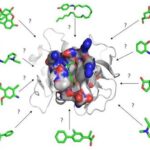 Diferencia entre el acoplamiento molecular y la dinámica molecular