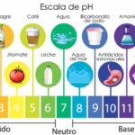 Diferencia entre el agua alcalina y el agua hidrogenada
