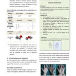 Diferencia entre el etanol y el éter dimetílico