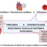 Diferencia entre el gasto cardíaco y el volumen sistólico