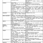 Diferencia entre el Imperio abasí y el imperio omeya