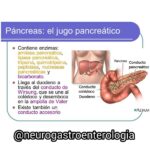 Diferencia entre el jugo gástrico y el jugo pancreático