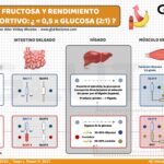 Diferencia entre el metabolismo de la glucosa y la fructosa