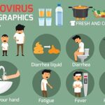 Diferencia entre el norovirus y el virus Norwalk