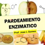 Diferencia entre el pardeamiento enzimático y no enzimático