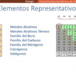 Diferencia entre elementos representativos y de transición