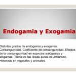 Diferencia entre endogamia y exogamia