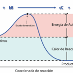 Diferencia entre energía de activación y energía umbral