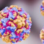 Diferencia entre enterovirus y rinovirus