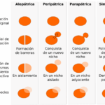 Diferencia entre especiación alopátrica simpátrica y parapátrica