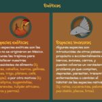 Diferencia entre especies exóticas e invasoras
