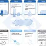 Diferencia entre fómites y vectores