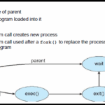 Diferencia entre fork y exec