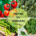 Diferencia entre fruta y verdura