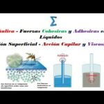 Diferencia entre fuerzas adhesivas y cohesivas