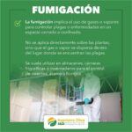 Diferencia entre fumigación y pulverización