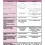 Diferencia entre gametogénesis y embriogénesis