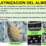 Diferencia entre gelificación y gelatinización