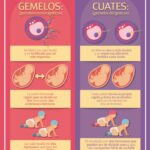 Diferencia entre gemelos idénticos y fraternos