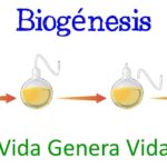 Diferencia entre generación espontánea y biogénesis