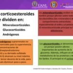 Diferencia entre glucocorticoides y corticosteroides