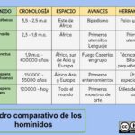 Diferencia entre homínido y homínido