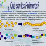 Diferencia entre homopolímero y heteropolímero
