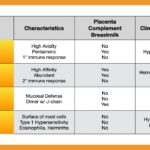 Diferencia entre IgG IgM IgA IgE e IgD