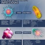 Diferencia entre infeccioso y contagioso