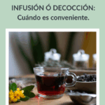 Diferencia entre infusión y decocción