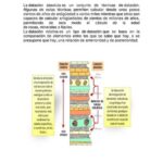 Diferencia entre la datación relativa y la datación radiométrica