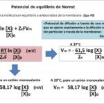 Diferencia entre la ecuación de Nernst y la ecuación de Goldman