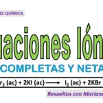 Diferencia entre la ecuación iónica completa y la ecuación iónica neta