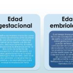 Diferencia entre la edad gestacional y la edad fetal