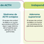 Diferencia entre la enfermedad de Cushing y el síndrome de Cushing