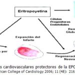 Diferencia entre la eritropoyetina y la eritropoyetina recombinante