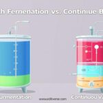 Diferencia entre la fermentación por lotes y la continua