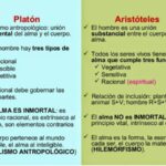 Diferencia entre la filosofía de Platón y Aristóteles