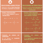 Diferencia entre la fisión de enlaces homolíticos y heterolíticos