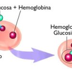 Diferencia entre la hemoglobina y la hemoglobina A1c