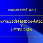 Diferencia entre la heterosis y la depresión endogámica