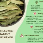 Diferencia entre la hoja de casia y la hoja de laurel