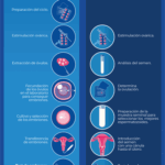 Diferencia entre la inseminación artificial y la fecundación in vitro
