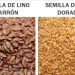 Diferencia entre la linaza dorada y la linaza marrón
