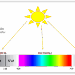 Diferencia entre la luz visible infrarroja y ultravioleta