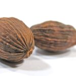 Diferencia entre la macis y la nuez moscada