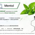 Diferencia entre la menta y el mentol