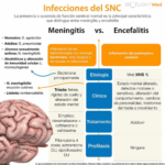 Diferencia entre meningitis y encefalitis
